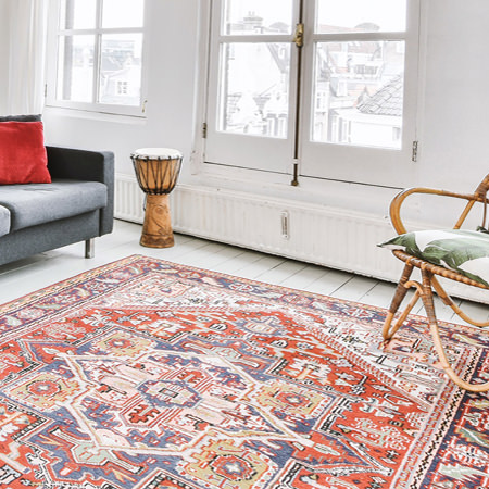 colorful oriental rug in living room